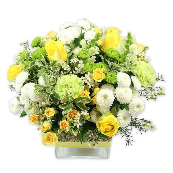 A carefully crafted bouquet brimming with yellow, white, and green blooms sits in a modern, square glass vase, the entire arrangement illuminated against a clean white background. The design is shaped into a generous, rounded dome, with yellow roses taking centre stage: some roses are fully open, revealing intricate layers of velvety petals, while others remain as tight buds that promise more colour in the days ahead. Around these are clusters of smaller yellow spray roses, adding detail and a sense of abundance. Interspersed between the roses are white pompom chrysanthemums, their compact, globe-like heads composed of countless tiny petals, bringing a gentle structure and softness. Lime green button chrysanthemums are scattered throughout like bright, playful beads, and larger, fluffy pale green blooms-resembling frilled green carnations or specialty mums-lend the arrangement a fresh, leafy quality. The flowers emerge from a base of lush foliage, including broad variegated leaves with pale edges, rich dark green stems, and delicate filler greenery that threads through the bouquet. Fine sprays of tiny, star-shaped white filler flowers add lightness, creating a sense of movement and intricacy. The clear glass vase reveals the neatly cut stems, yet its middle is wrapped with a rustic band of woven natural fibre, overlaid with a tidy lime green ribbon that harmonises with the blooms' green accents. The visual impression is bright, joyful, and contemporary, like a patch of sunshine on a Canning Town balcony overlooking the Royal Victoria Dock. This arrangement would sit beautifully on a dining table, office reception, or coffee table in one of the new apartments near Silvertown, carrying with it feelings of optimism, celebration, and everyday luxury.